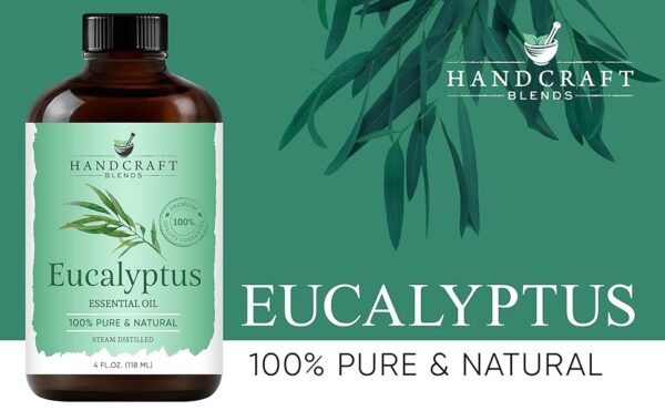 Eucalyptus Essential Oil - Huge 4 Fl Oz - 100% Pure and Natural - Premium Grade Essential Oil for Diffuser and Aromatherapy  Health & Household - Image 9