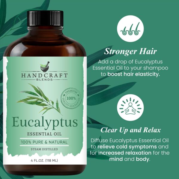 Eucalyptus Essential Oil - Huge 4 Fl Oz - 100% Pure and Natural - Premium Grade Essential Oil for Diffuser and Aromatherapy  Health & Household - Image 24