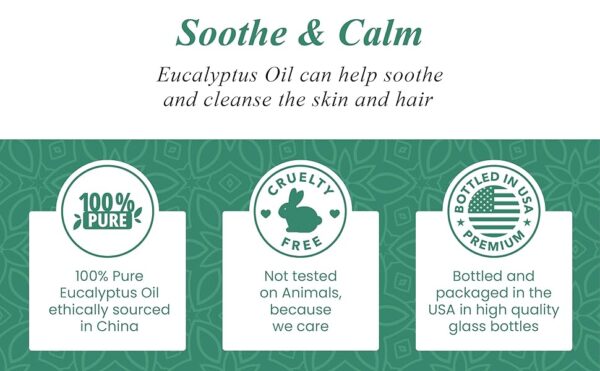 Eucalyptus Essential Oil - Huge 4 Fl Oz - 100% Pure and Natural - Premium Grade Essential Oil for Diffuser and Aromatherapy  Health & Household - Image 13